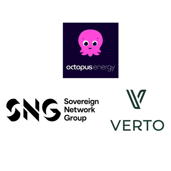 Octopus energy Verto homes and SNG