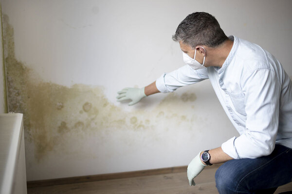 Reporting of emergency hazards rises sharply as Awaab&rsquo;s Law takes effect