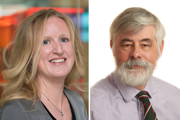 BSR searches for chair of resident panel as two appointments made to advisory committee