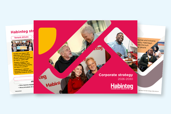 Habinteg makes 2030 DHS upgrade pledge and repairs overhaul in new corporate strategy