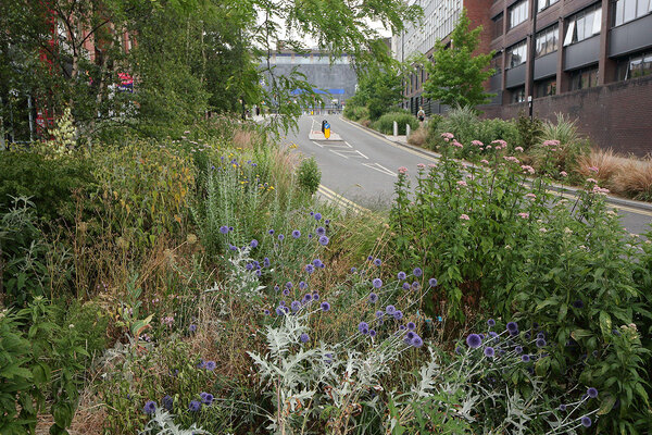 Charities warn brownfield-first housing push risks creating &lsquo;ecological deserts&rsquo; in poorer areas