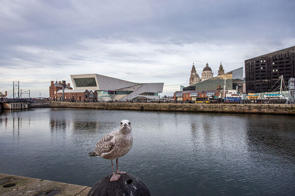 Liverpool landlord handed top consumer grade and city council has regulatory notice removed