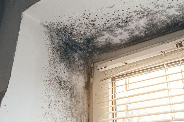 Councils now able to fine landlords up to &pound;7,000 for serious hazards as new Renters&rsquo; Rights Act power kicks in