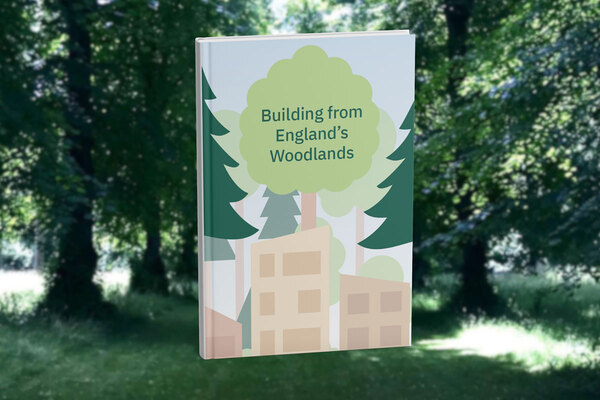 English-grown timber has &lsquo;major potential&rsquo; in sustainable construction, research finds
