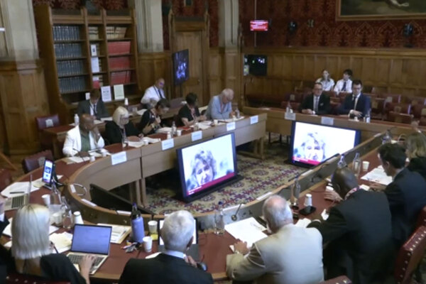 End new towns land speculation or risk affordable housing targets, Lords told