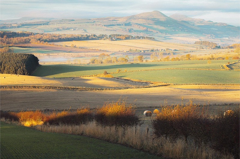 Scottish housing association judged non-compliant with regulatory standards
