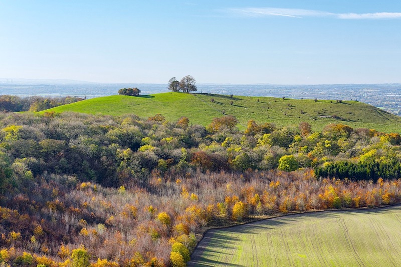 Inside Housing - News - Natural England announces planning approach ...
