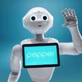 Pepper   the Customer Service Robot
